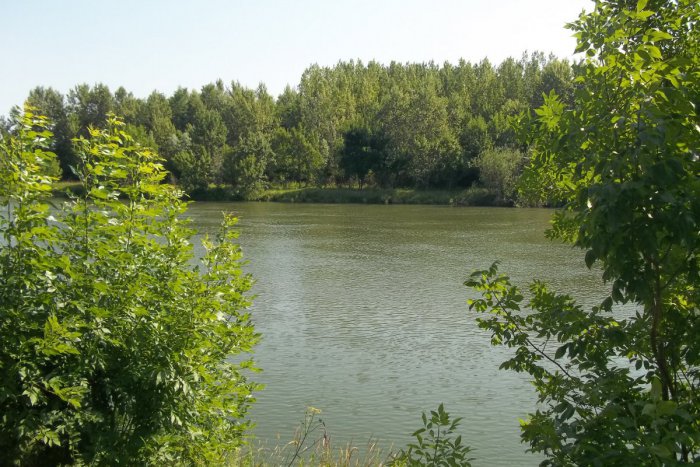 Ilustračný obrázok k článku Šaliansky lesopark bude miestom oddychu: Práce onedlho začnú