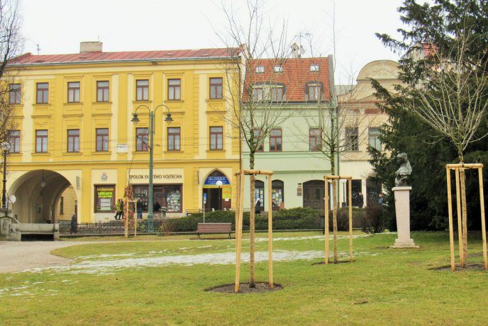 Ilustračný obrázok k článku Lýdia Budziňáková nebude riaditeľkou Prešov Real: Svoju nomináciu stiahla