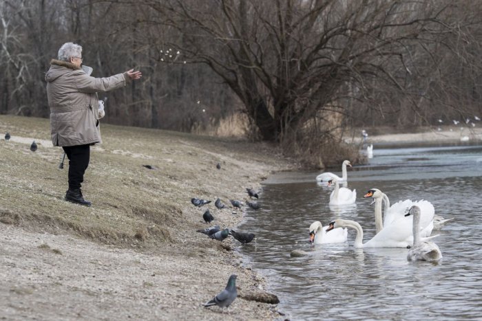 Ilustračný obrázok k článku RANNÁ ŠTVORKA: Pondelok bude oblačný, teploty do 15 stupňov