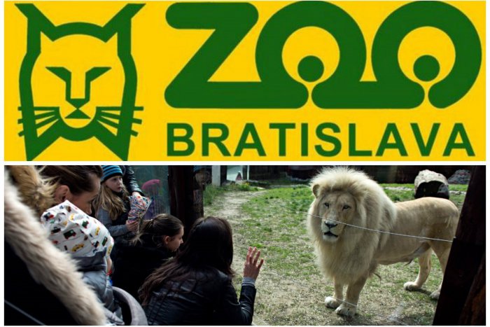 Ilustračný obrázok k článku Viete, prečo sa v logu bratislavskej ZOO nachádza rys?