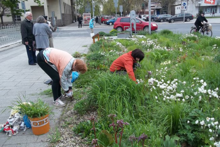 Ilustračný obrázok k článku Šalianske združenie zvoláva brigádu: Vyčistia svoj záhon pri kostole