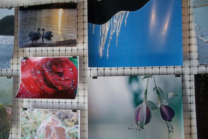 Ilustračný obrázok k článku Šaliansky domček je plný osvieženia: Fotkami vzdali hold vode, FOTO