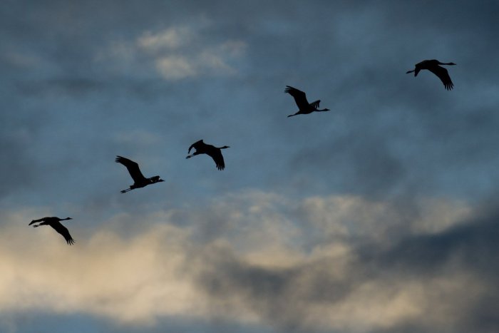 Ilustračný obrázok k článku RANNÁ ŠTVORKA: Štvrtok bude zamračený s teplotami do 12 °C, meniny má Svetlana