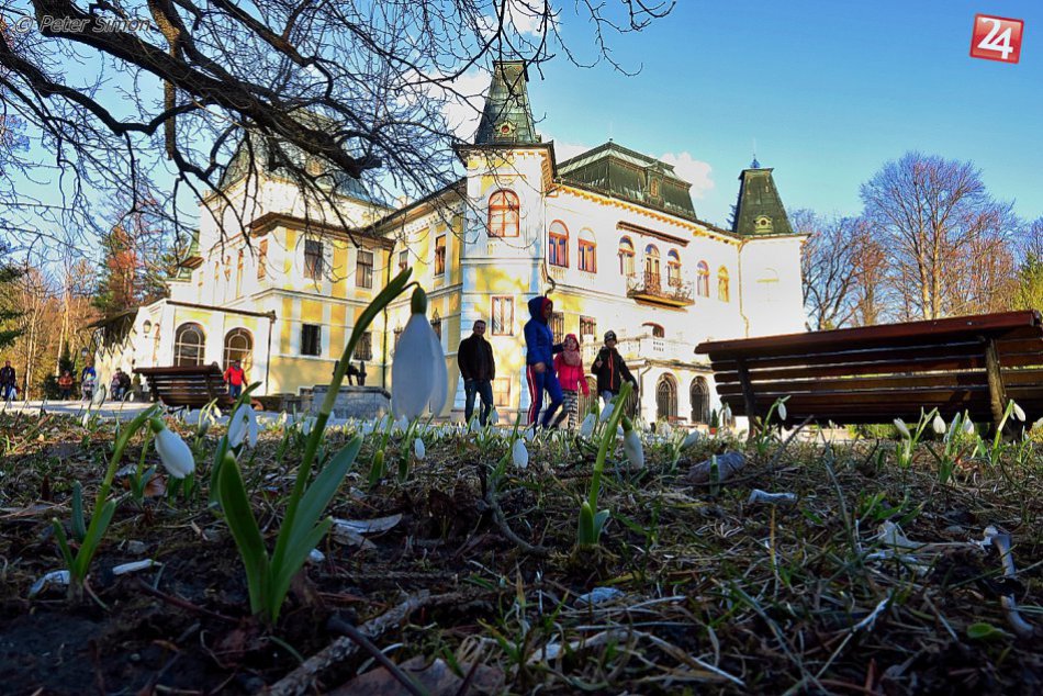 Ilustračný obrázok k článku V Betliari neobdivujú len kaštieľ: Atrakciou sa stali aj tieto snežienky, FOTO