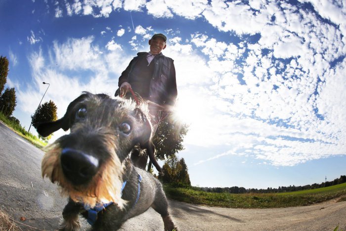 Ilustračný obrázok k článku Voľné dni sú opäť tu: Čo na vás čaká v Šali a okolí?