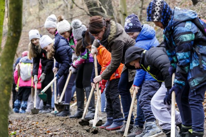 Ilustračný obrázok k článku Na Železnej studienke opäť stavajú zábrany na záchranu žiab