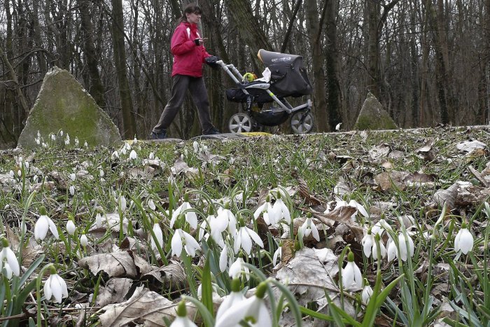 Ilustračný obrázok k článku Prvý jarný víkend pred nami: Trenčín opäť ponúka veľa podujatí
