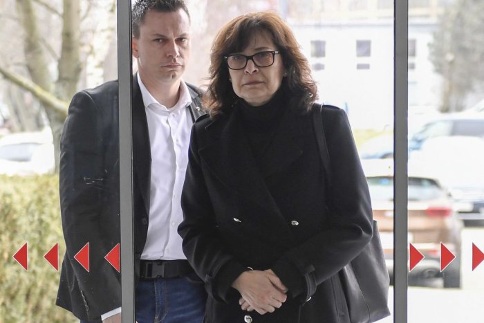 Ilustračný obrázok k článku Lucia Žitňanská končí v strane Most-Híd