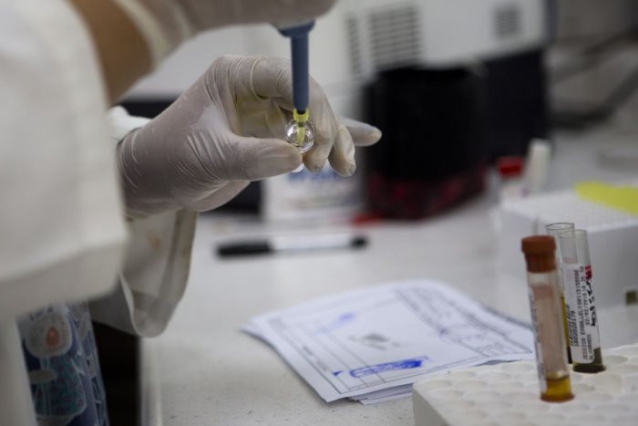 Ilustračný obrázok k článku Hygienici finišujú s prípravou imunologických prehľadov: Preverí zaočkovanosť Slovákov