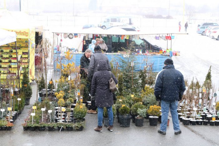 Ilustračný obrázok k článku V Prešove sa konal obľúbený veľtrh záhradníctva: Prvý deň v OBRAZOCH