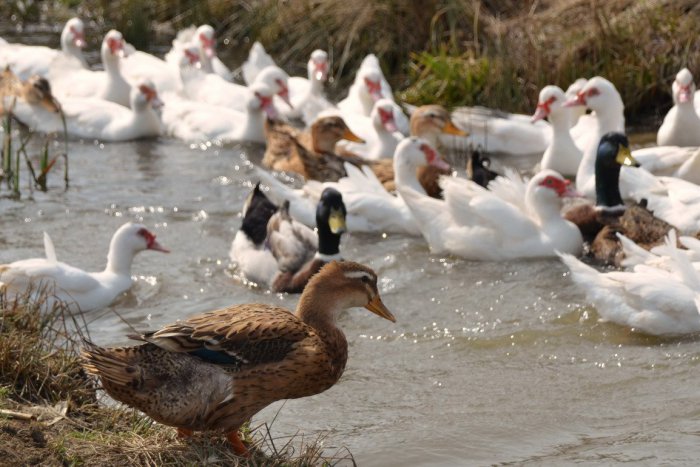 Ilustračný obrázok k článku RANNÁ ŠTVORKA: Piatok poteší slnečným počasím s teplotami do 9 °C, meniny má Adrián