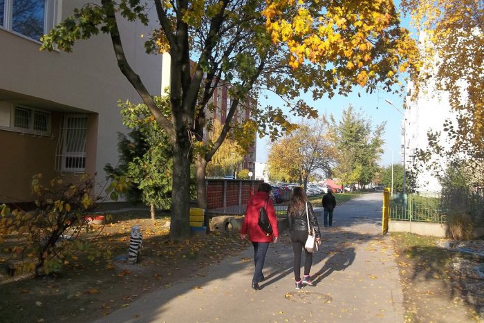 Ilustračný obrázok k článku Šalianski poslanci riešili dilemu: Budeme mať dve ZUŠ-ky?