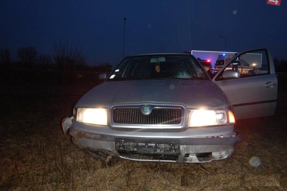 Ilustračný obrázok k článku FOTO: Žena išla so psíkom po chodníku. Vrazil do nich opitý Zvolenčan