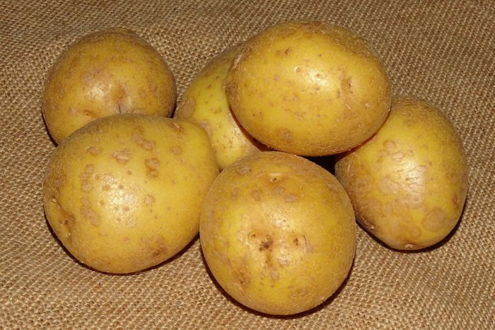 Ilustračný obrázok k článku Muž z Hertníka kradol zemiaky