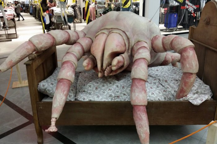 Ilustračný obrázok k článku Do Bratislavy zavítajú obrovské roztoče, kliešte a vši