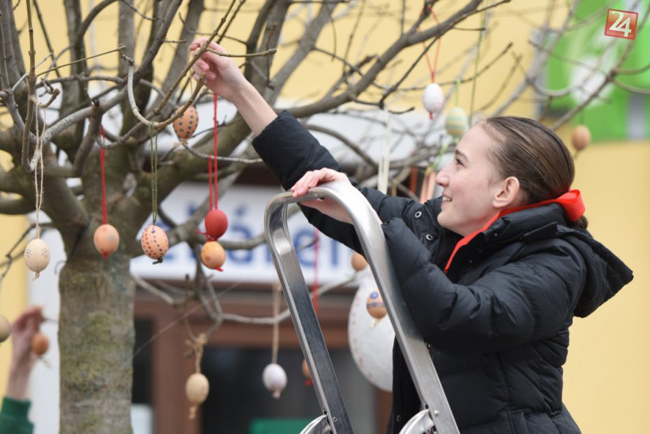 Ilustračný obrázok k článku Trnava sa odeje do veľkonočného šatu: Kvetná nedzela vnesie do mesta farby