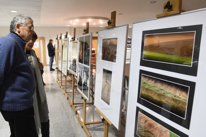 Ilustračný obrázok k článku Trnavský objektív má víťazov: Bodovali Trnavčania ale i diela fotografov z okolia!