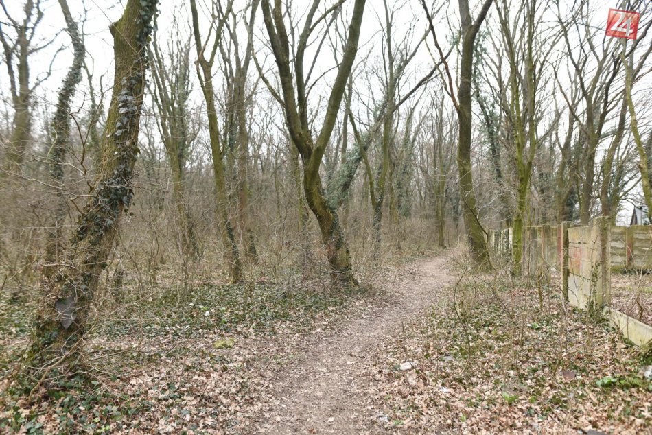 Ilustračný obrázok k článku Veľká akcia neďaleko domu zavraždeného novinára: Polícia prehľadávala les