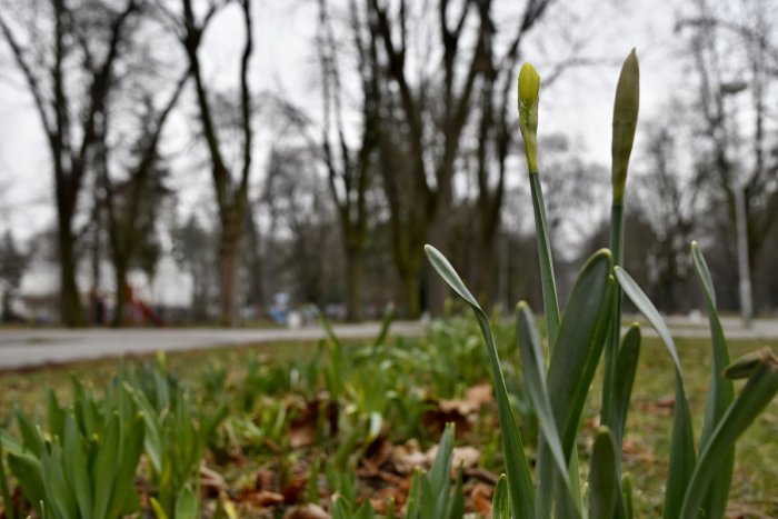 Ilustračný obrázok k článku RANNÁ ŠTVORKA: Štvrtok bude pod mrakom s teplotami do 13 °C, meniny má Miroslav