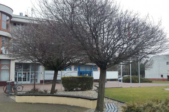 Ilustračný obrázok k článku V Močenku hľadajú dodávateľa: Kto predloží naj ponuku na vybavenie rozšírenej MŠ?