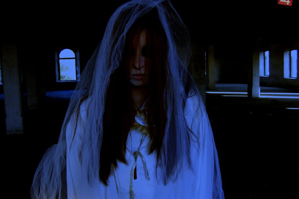 Ilustračný obrázok k článku V zámockej krypte budú premietať horory. Na tieto filmy sa môžete tešiť