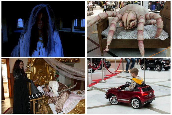 Ilustračný obrázok k článku TIPY NA TÝŽDEŇ: Do Bratislavy mieria obrie roztoče a vši aj detský autosalón