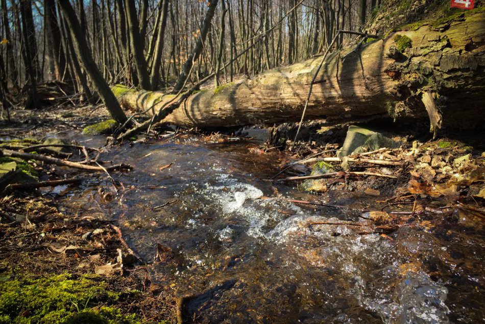 Ilustračný obrázok k článku Primátor víta iniciatívu za ochranu povodia Vydrice