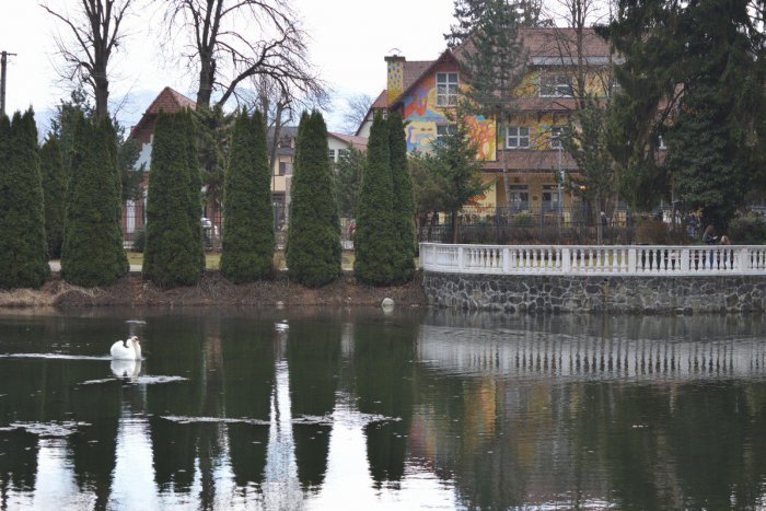 Ilustračný obrázok k článku V Rajeckých Tepliciach pribudli vtáčie búdky: Ktoré spevavce majú prilákať?