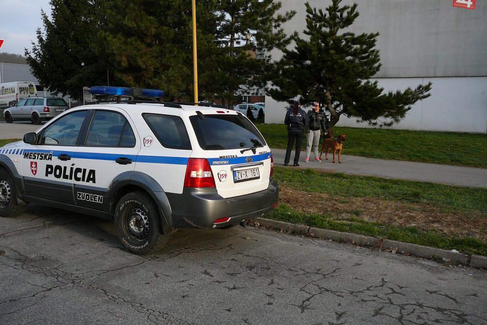 Ilustračný obrázok k článku Mestskí policajti si posvietili na zvolenských psíčkarov. Na toto upozorňujú muži zákona