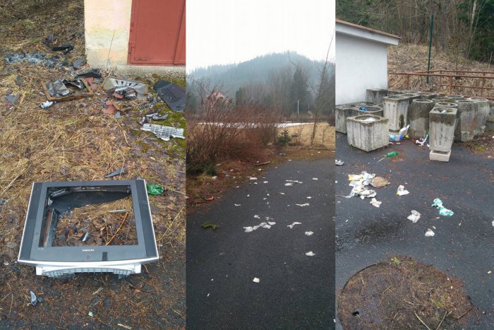 Ilustračný obrázok k článku Kvetnica po zime ukázala svoju "krásu": Pomôcť môže každý z nás!