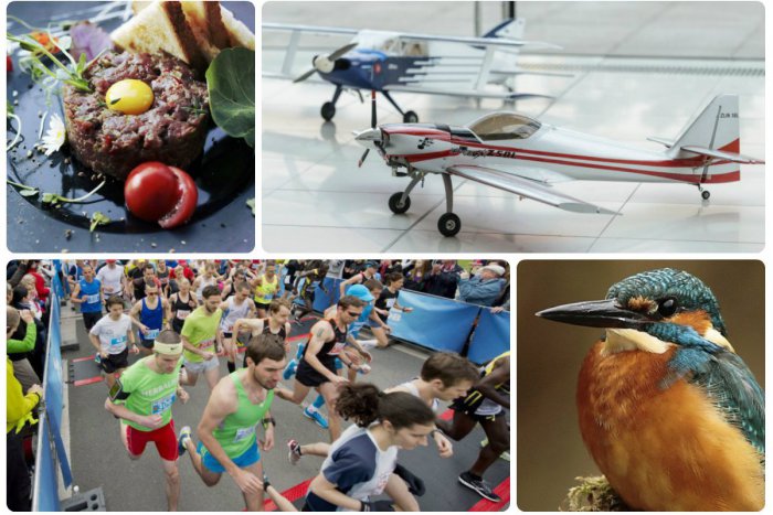 Ilustračný obrázok k článku TIPY NA VÍKEND: Deň tataráku, ochutnávka vína, otvorenie nového Kulturáku aj sezóny na kaverne