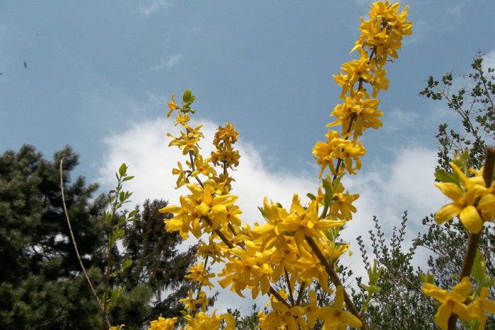 Ilustračný obrázok k článku Tešte sa na  aprílový víkend: Môžete vyčistiť okolie aj sa zabaviť