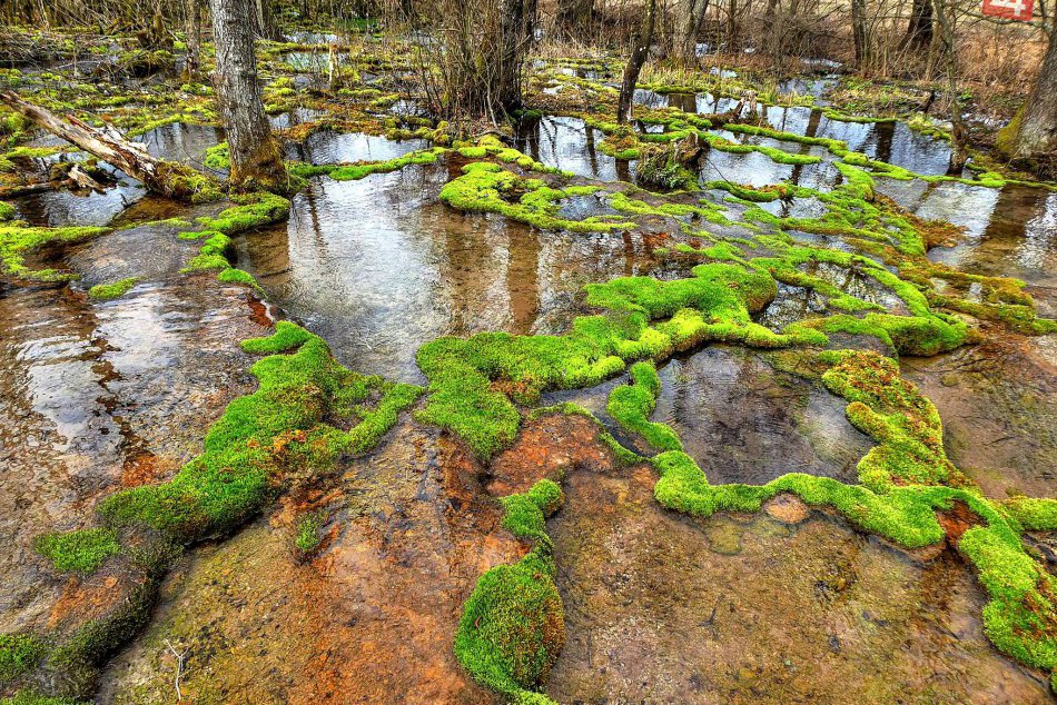 Ilustračný obrázok k článku FOTOREPORTÁŽ: Magické okolie Krásnohorskej jaskyne