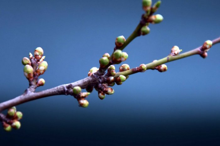 Ilustračný obrázok k článku RANNÁ ŠTVORKA: Sobota bude slnečná s teplotami do 19 °C, meniny má Zoltán