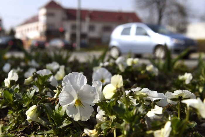 Ilustračný obrázok k článku V Mikuláši sa chystá veľká revitalizácia parkov: Je na zozname aj vaše sídlisko?