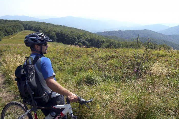 Ilustračný obrázok k článku FOTO: V Poloninách už začal kvitnúť vzácny kvet, ktorý má národný park aj v logu