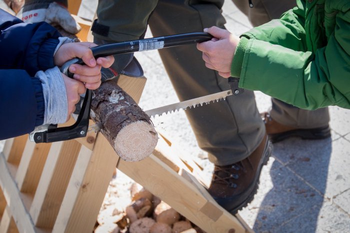 Ilustračný obrázok k článku Na Hlavnej v Prešove budeme svedkami Lesníckych dní: Aha, aký program sa chystá