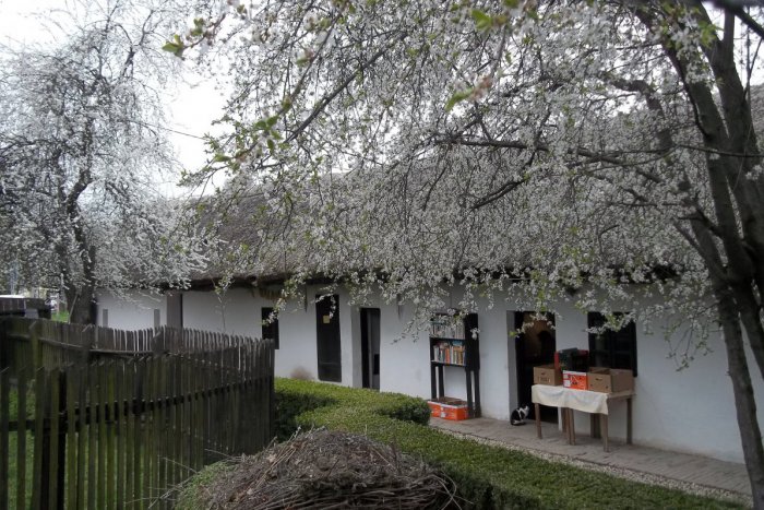 Ilustračný obrázok k článku Alžbeta Kunová šperkami žije: Kamene jej dodávajú radosť i energiu, FOTO