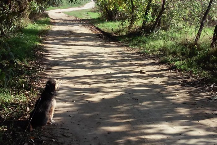 Ilustračný obrázok k článku Končí sa pracovný týždeň, treba oddychovať: V Šali a okolí máte viac možností