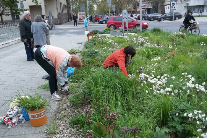 Ilustračný obrázok k článku Blíži sa Deň Zeme: Ako ho oslávia v našom okrese?