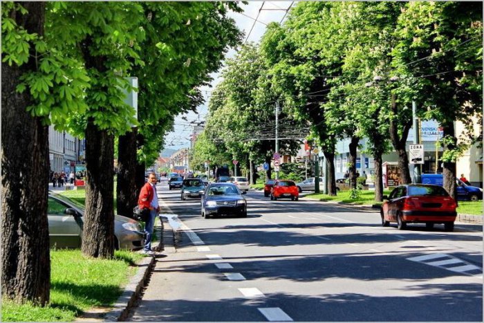 Ilustračný obrázok k článku TOP 10 faktov o aleji na Masarykovej ulici: Prešovčania, tieto info by ste mali vedieť