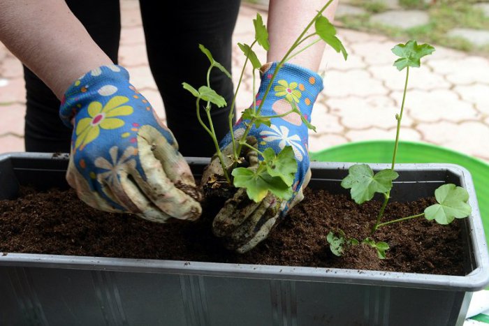 Ilustračný obrázok k článku Tipy na víkend: Bude sa upratovať i oslavovať folklór