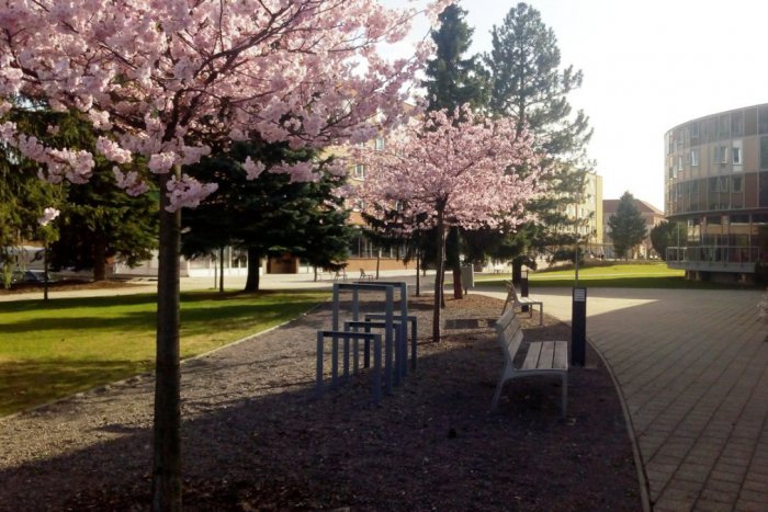 Ilustračný obrázok k článku Ktorý sa vám najviac pozdáva? 5 tipov pre Žiarčanov, kam tento týždeň