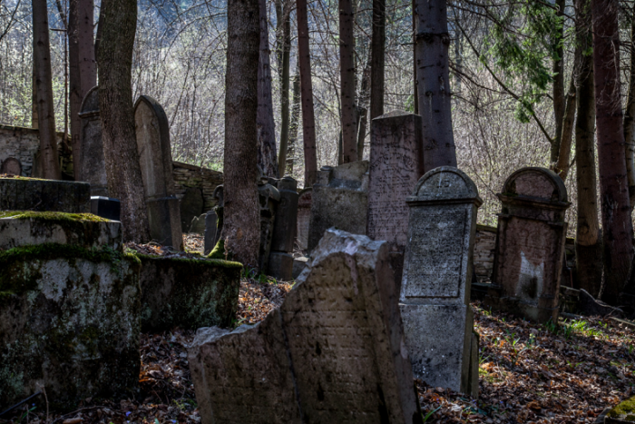 Ilustračný obrázok k článku Posledný portrét, ktorý obletel celý svet, uvidia aj Lučenčania