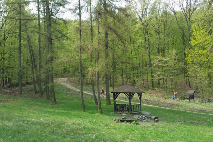 Ilustračný obrázok k článku OBRAZOM: Jarná pohoda na Kamzíku a Železnej studienke