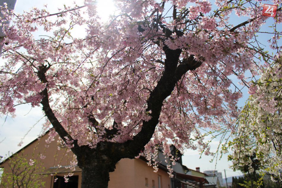 Ilustračný obrázok k článku Príjemné počasie nás bude tešiť aj naďalej: Teploty môžu dosiahnuť až +25°C
