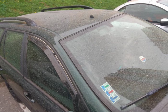 Ilustračný obrázok k článku Na Slovensku sa rozfúka silný vietor: Prinesie k nám aj piesok z Afriky