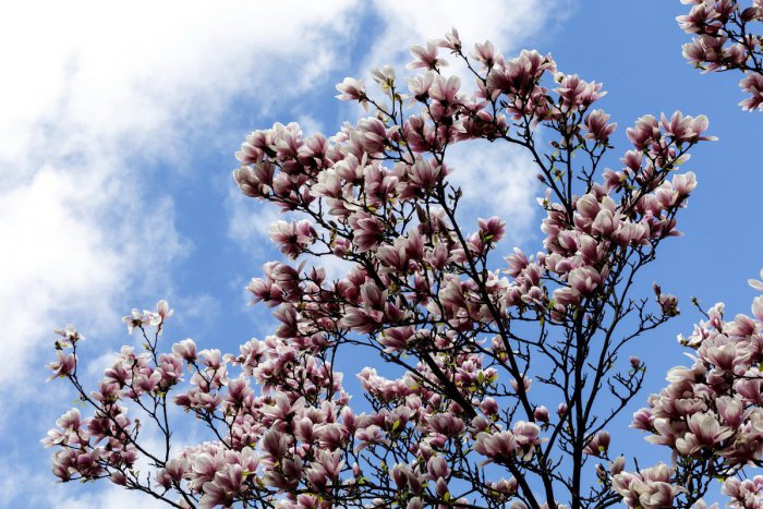 Ilustračný obrázok k článku RANNÁ ŠTVORKA: Čaká nás slnečný a horúci piatok, meniny má Marcel