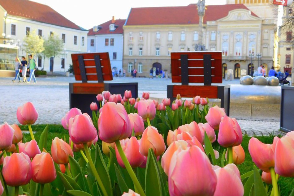 Ilustračný obrázok k článku Kam si skočiť počas víkendu? Pozrite si akcie v Trnave a okolí