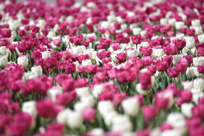 Ilustračný obrázok k článku RANNÁ ŠTVORKA: Víkend začne slnečným a mimoriadne teplým počasím, meniny má Ervin